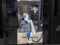 Хуаянь Хэнс Роботикс Кобот